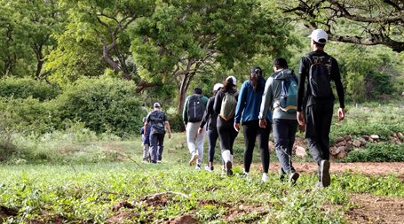 Trekking